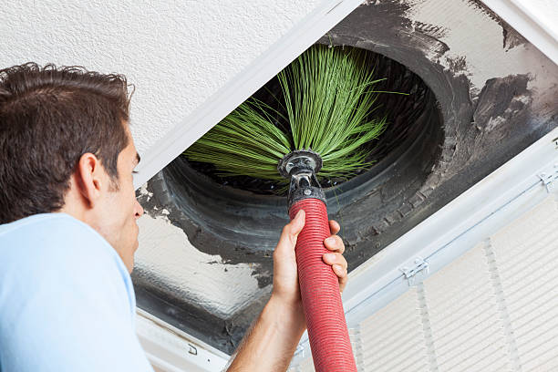 Best Local Air Duct Cleaning Services  in Burleson, TX